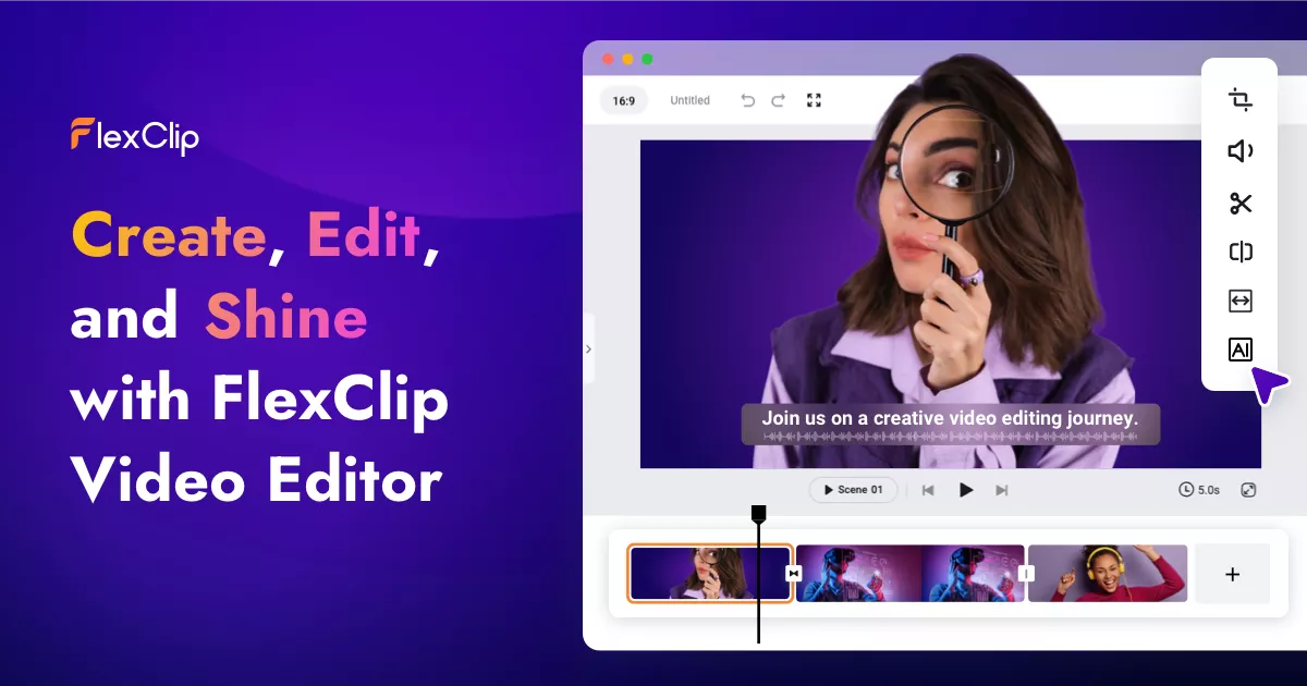 Aperçu de FlexClip